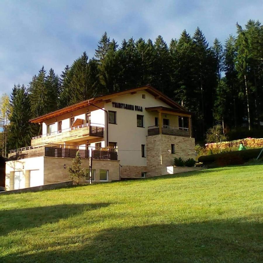 Transylvania Villa & Spa Gosau Extérieur photo